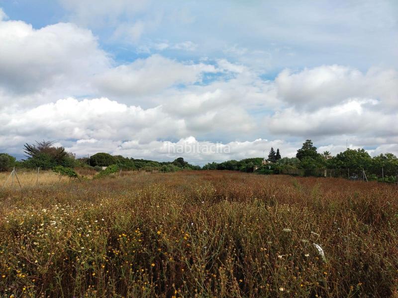 Foto 4dfacbfd-3abb-467c-a291-1a4a542df5d1. Finca rústica a Pelagatos - Pago del Humo Chiclana de la Frontera