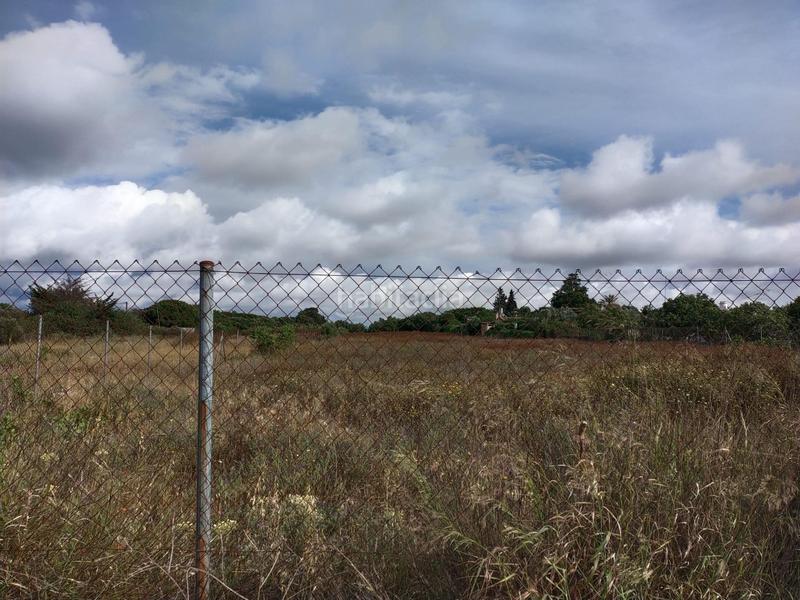 Foto cde72733-717f-40eb-ac84-f7b441c036e4. Finca rústica a Pelagatos - Pago del Humo Chiclana de la Frontera