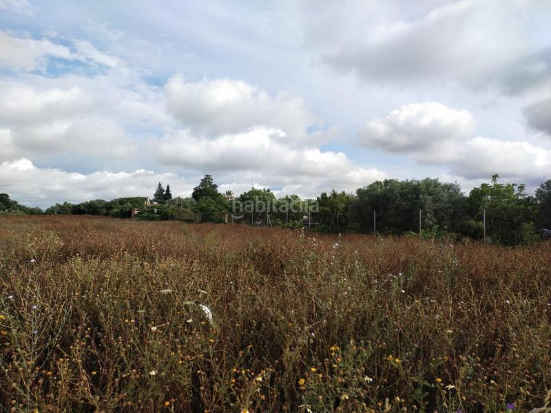 Foto d4dfa20e-ca03-4198-84b5-5544a4ee52bb. Finca rústica a Pelagatos - Pago del Humo Chiclana de la Frontera