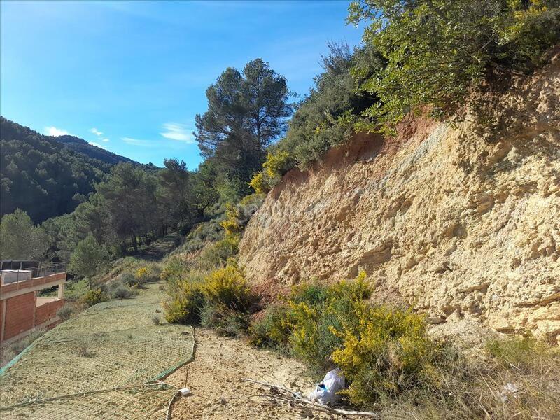 Foto d802e303-d308-435d-a63e-591be1008790. Terreno residencial solar en venta s . en Suera