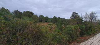 Solar industrial a Ribesalbes. Parc. ind. en venta en ribesalbes.