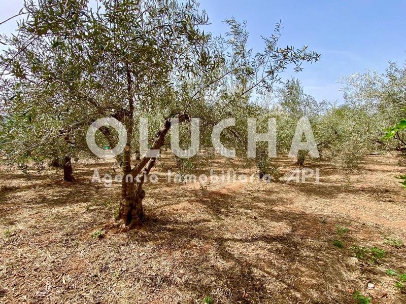 Foto efc9a9b3-7d92-4f15-8343-8edb2a095068. House with parking in Onda