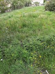 Terreno residencial en Campins