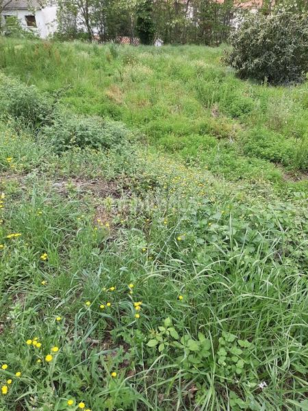 Foto 40b0ccb5-dae3-4fd5-b81d-91726cce59cf. Terreno residenziale in Campins