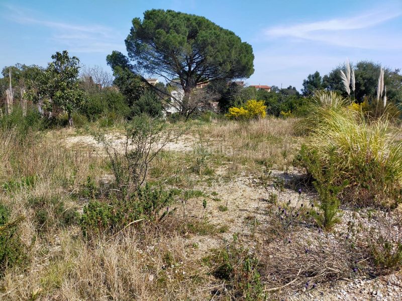 Foto af0b4ac1-0dd4-40b4-a9ce-6cae21a73fc0. Terreny residencial a Riells i Viabrea