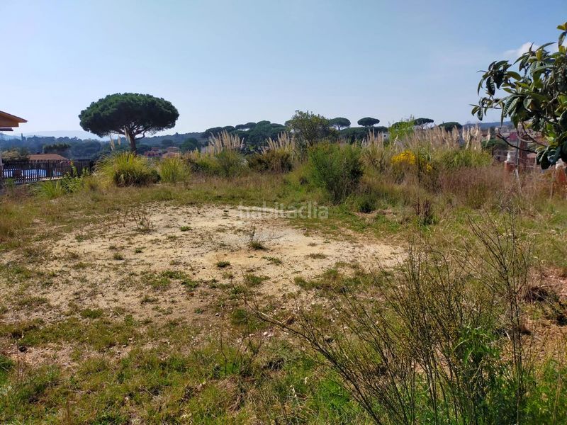 Foto c65da5a4-eaff-411f-8a08-be3eee16e787. Terreny residencial a Riells i Viabrea