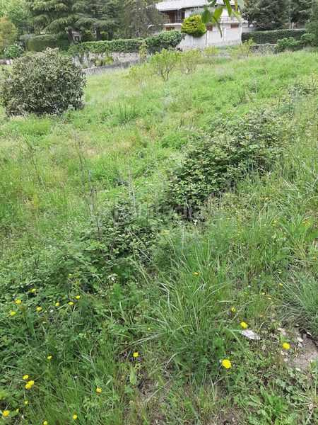 Foto 3632c7f1-a7c0-4479-81ea-f8aab760f970. Terreny residencial a Sant Celoni