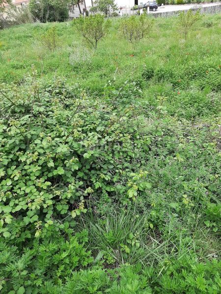 Foto 8e7f8f30-0fcd-4df3-aec8-ff486b5d37a4. Terreny residencial a Sant Celoni