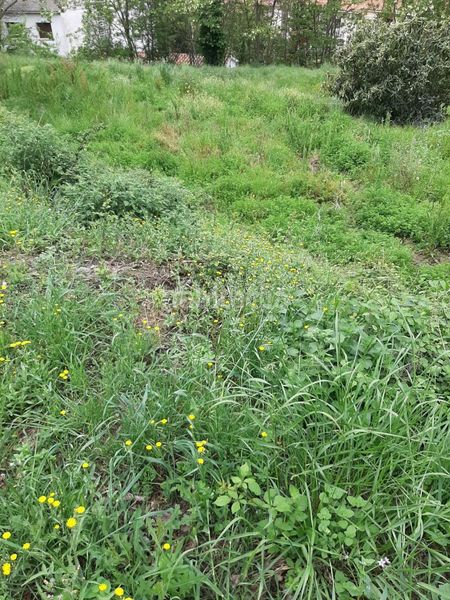 Foto c3b1b9cc-a259-44ee-822b-929ef47db540. Terreny residencial a Sant Celoni