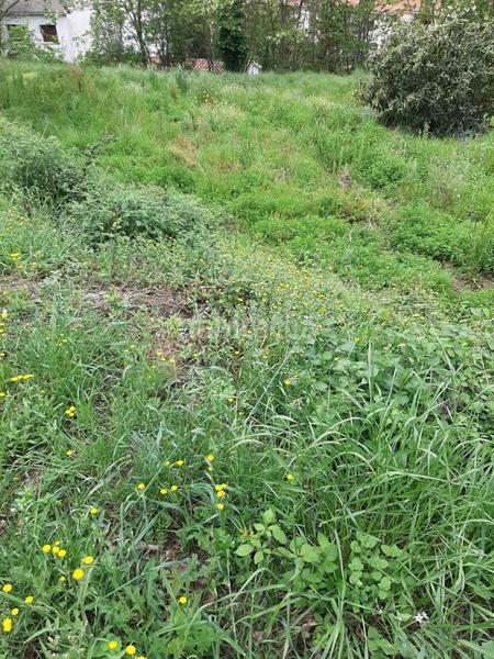 Foto c3b1b9cc-a259-44ee-822b-929ef47db540. Residential plot in Sant Celoni