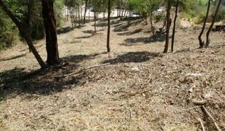 Terreny residencial a Riells i Viabrea