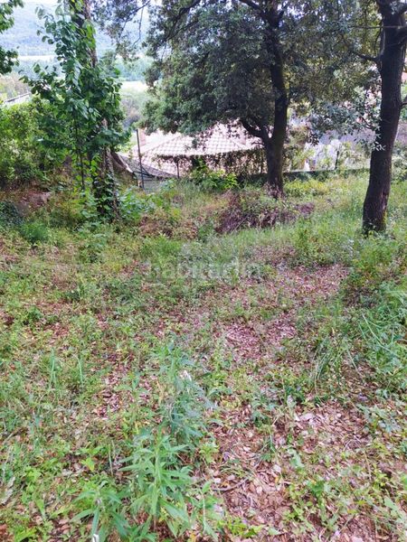 Foto 06fe0dff-129c-461a-870b-282e6398e6fa. Terreno residencial en Gualba