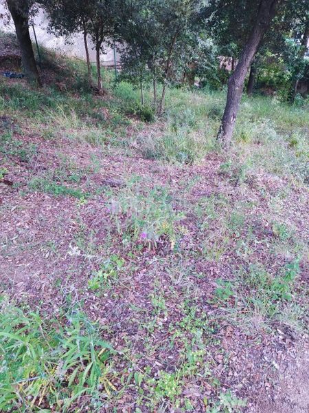Foto 159eed1f-d01c-4b1c-920d-bd43902f2564. Terreno residencial en Gualba