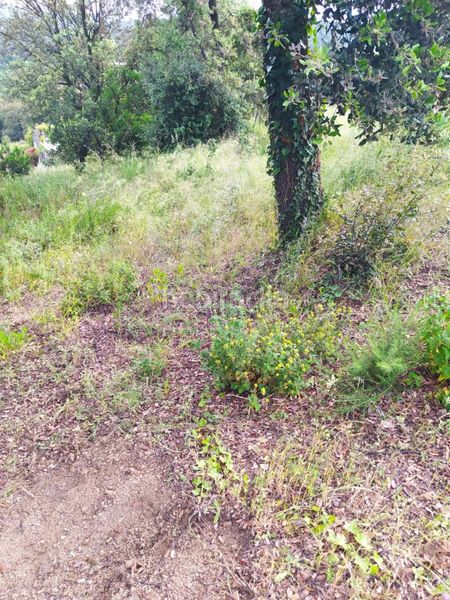Foto 427eab72-3582-4d18-bb52-c2a26b784d39. Terreno residencial en Gualba