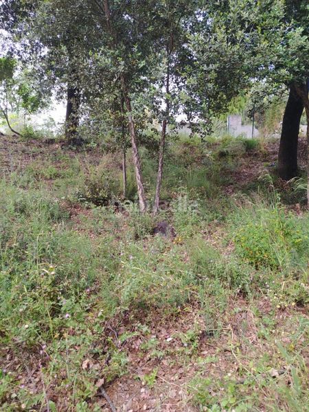 Foto 89a315fa-c00e-4ccd-a47f-c0a581b4131c. Terreno residencial en Gualba