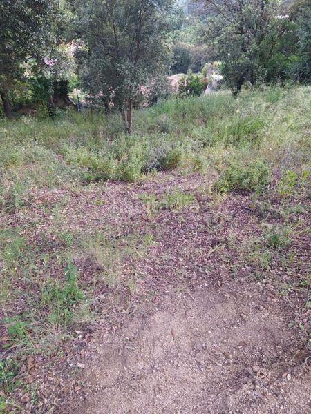 Foto de83921f-582f-4fff-923d-b5a402b99eda. Terreno residencial en Gualba
