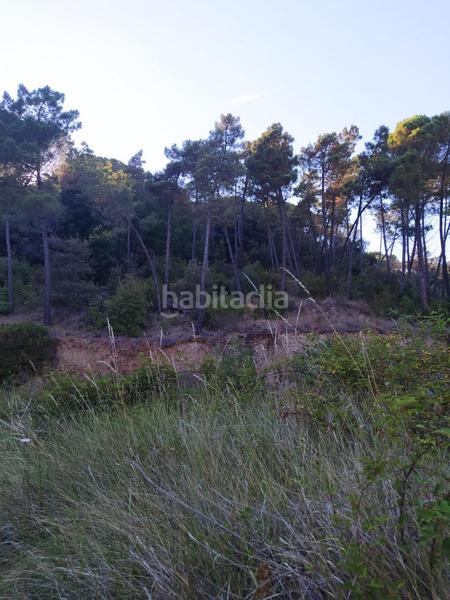 Foto 22fdeefb-510f-4797-bd40-469bbaedd36f. Mas dans Riells i Viabrea