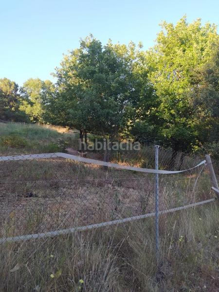 Foto 34e2603a-7506-4d86-a439-707c43bd4a12. Mas dans Riells i Viabrea