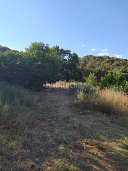 Foto 65ba6e74-ce89-4519-9fe4-f1e198183aa7. Mas dans Riells i Viabrea