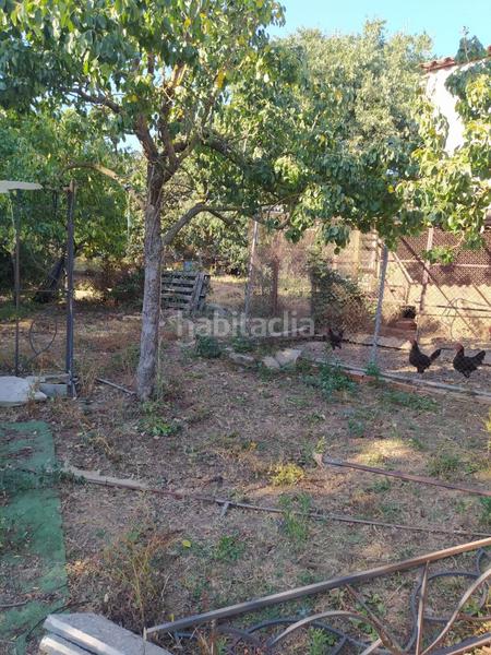 Foto c1cf737f-7edd-4b5d-abd0-8fee4d5dab64. Mas dans Riells i Viabrea