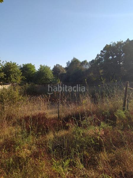 Foto c5c88859-1378-4946-a607-64c61f80d488. Mas dans Riells i Viabrea