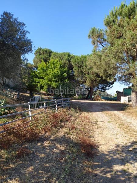 Foto e343a819-1719-4949-8752-c1f6d29838a7. Mas dans Riells i Viabrea