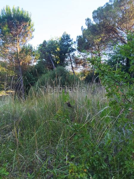 Foto 24867117-b5d5-4c88-8308-b8c684fc4ca3. Masia a Riells i Viabrea