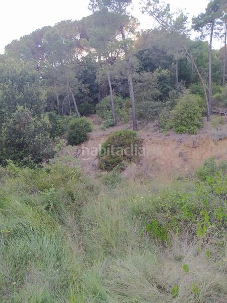 Foto 32d91c86-be4a-4d53-a7ca-5aeff631b171. Masia a Riells i Viabrea