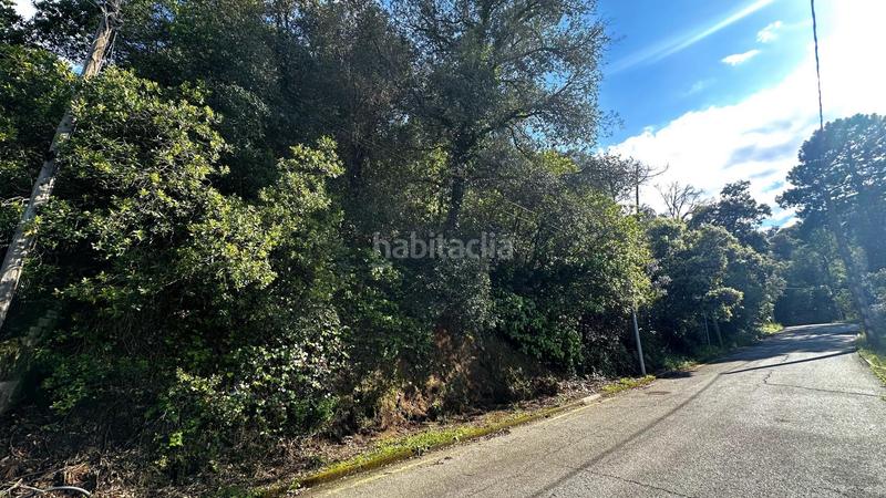 Foto 5bd4ec28-2ed5-4e1c-be5a-e29afd4d0722. Wohngrundstück in Vallgorguina