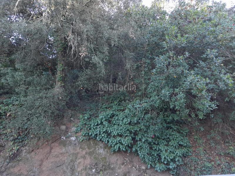 Foto bf3e3fe2-40eb-4b96-ba70-83df9eb46c32. Wohngrundstück in Vallgorguina