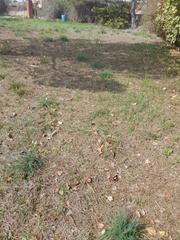 Terreno residenziale in Llinars del Vallès