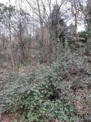 Terrain résidentiel à Riells i Viabrea
