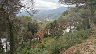 Terrain résidentiel à Vallgorguina