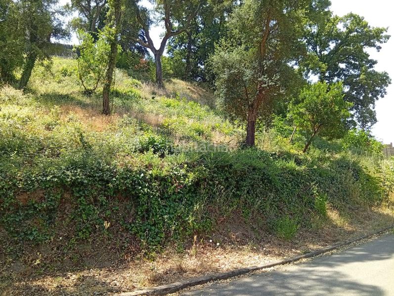 Foto 02946fd3-f35f-4797-9776-bba910f78baf. Terreno residenziale in Vallgorguina