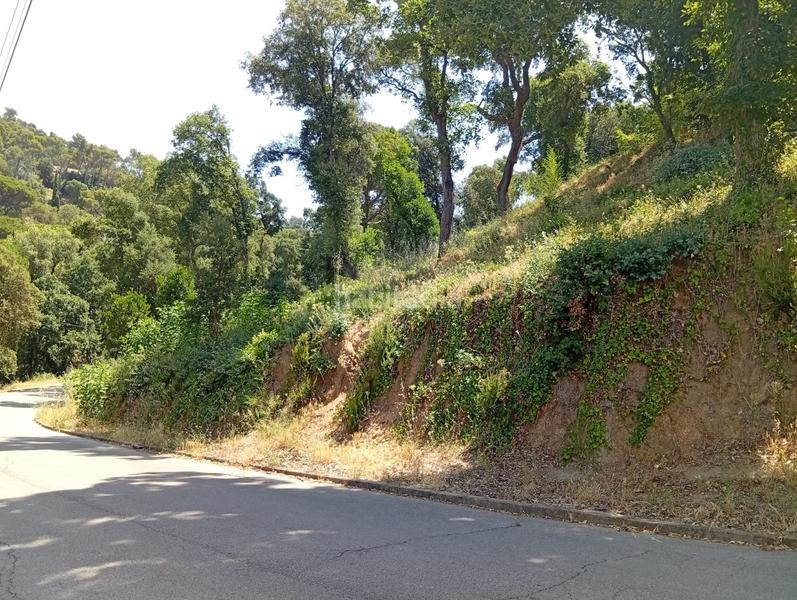 Foto 3b6b8ab6-2cee-48c5-80e7-c807b5ebcb80. Terreno residenziale in Vallgorguina