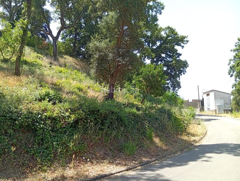 Foto 58984beb-54ef-44be-ad66-0601f35b82dc. Terreno residenziale in Vallgorguina