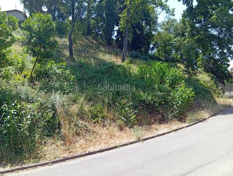 Foto 8adc698a-9d36-4553-97a5-b076c1196c22. Terreno residenziale in Vallgorguina