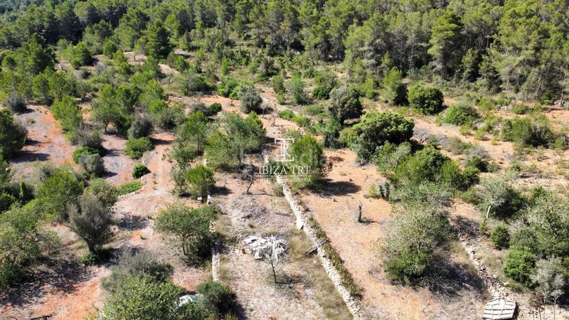 Foto e0df7e71-442e-4a84-9484-0287bd178ff7. Xalet a Sant Antoni de Portmany