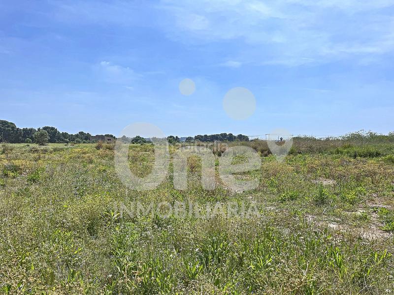 Foto 46de89e5-b591-4f4a-a992-9a3ff25ff5da. Terreno residenziale in La Conarda-Montesano Bétera