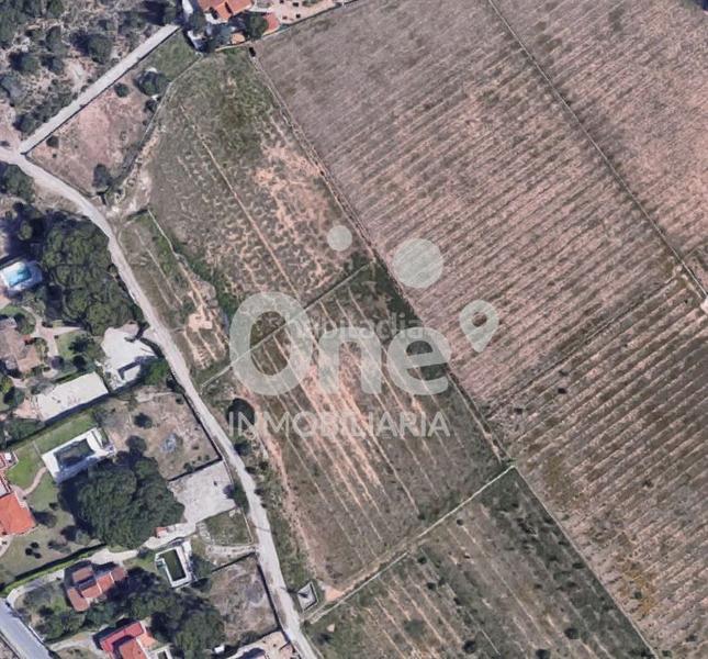 Foto 9bd1bf9a-b3af-4996-a062-5779d3a07b0f. Terreno residenziale in La Conarda-Montesano Bétera