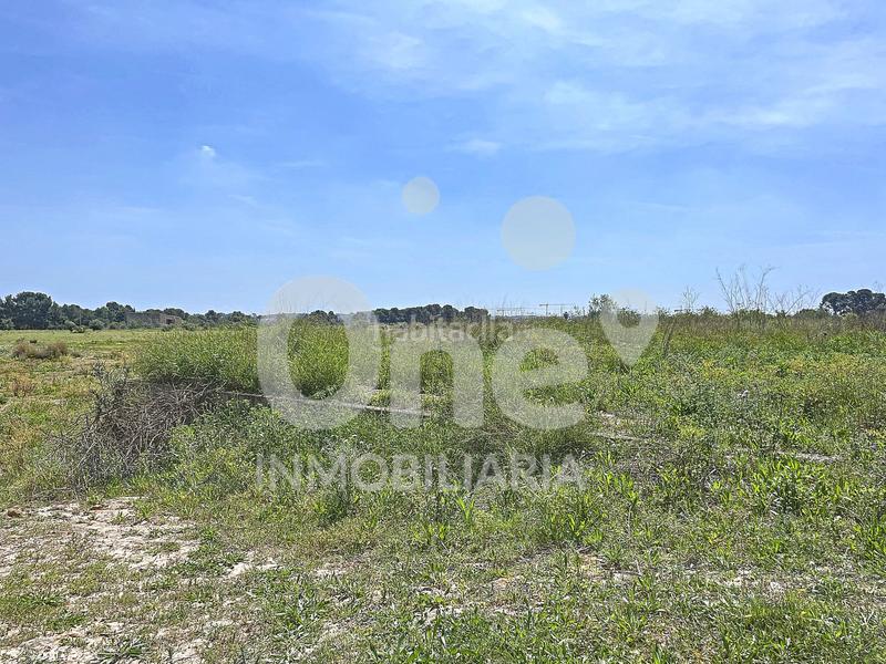 Foto de25615e-1785-446c-8283-cd520d354bed. Terreno residenziale in La Conarda-Montesano Bétera