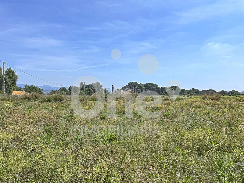 Foto e9de0637-bdd4-4741-b784-375c3371c739. Terreno residenziale in La Conarda-Montesano Bétera