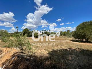 Terrain résidentiel à Calle san ramón 26. One sab inmobiliaria presenta magnífica oportunidad en la eliana