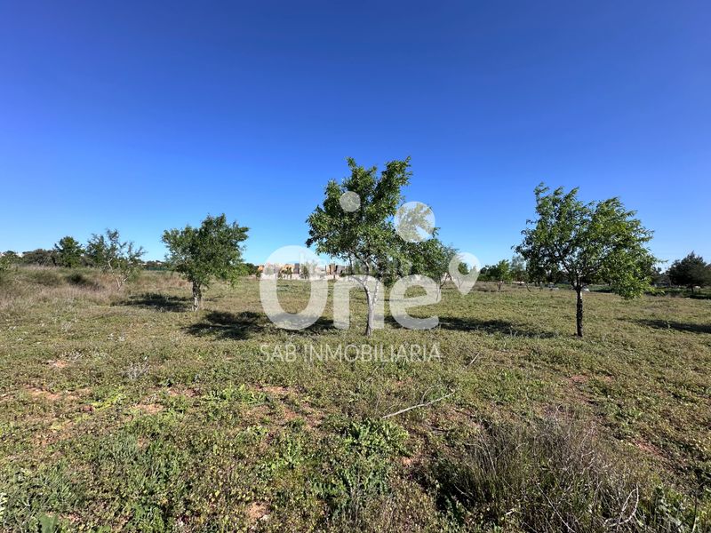 Foto 11a7b368-f818-41ff-917c-5b5425200171. Finca rústica a San Antonio de Benagéber