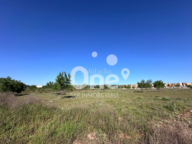 Foto 18815b5a-4fc0-470f-a43a-093a867b7c4a. Finca rústica a San Antonio de Benagéber