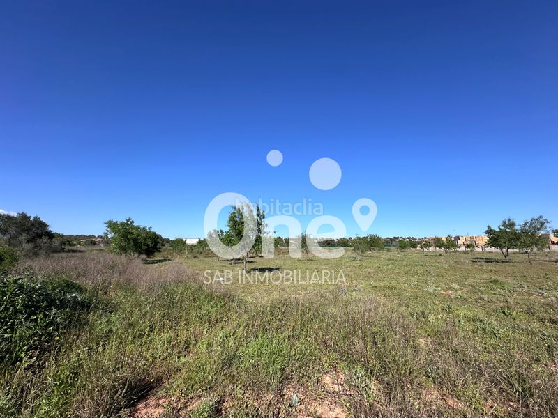 Foto 5928d6ad-4d2b-432c-b08a-60fe844aa6d2. Finca rústica a San Antonio de Benagéber