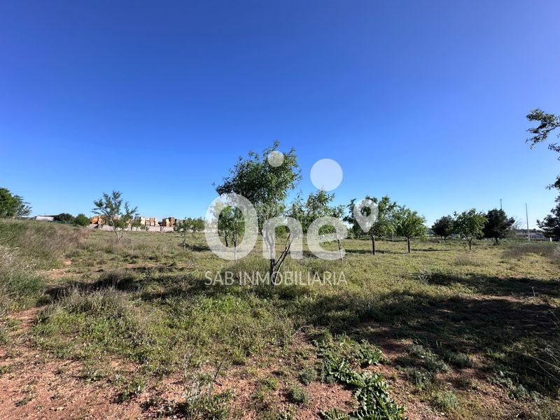 Foto a8af9309-8882-49c9-9c45-53e9862cdf25. Finca rústica a San Antonio de Benagéber