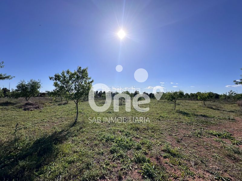 Foto afd1db1a-13b1-49e9-beca-94b3aba769cb. Finca rústica a San Antonio de Benagéber