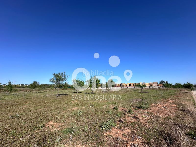 Foto f69024f7-d903-4084-9dcb-7697b9b8925c. Finca rústica a San Antonio de Benagéber