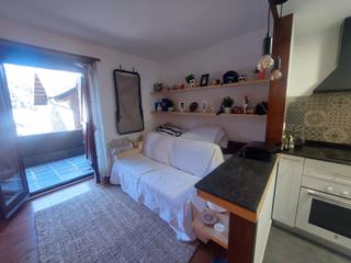 Apartament  Urbanització sant pere del tarter 63. Apartamento rústico reformado de una habitación